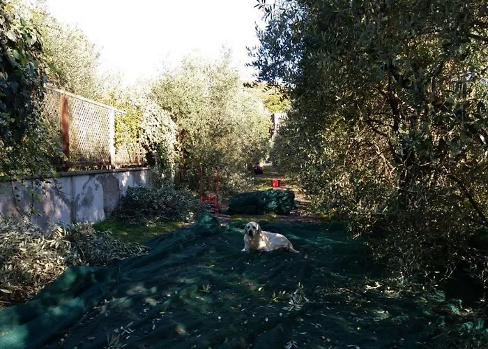 B&B La Grola